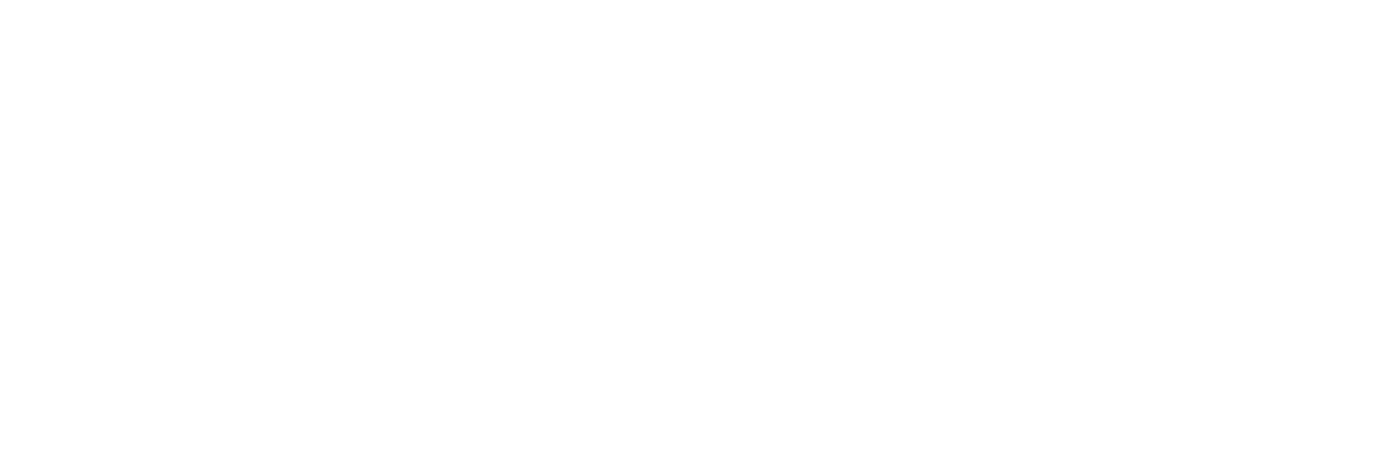 BIFIS Logo